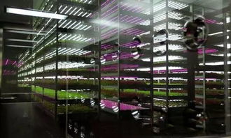 經(jīng)濟(jì)見底回升中的新經(jīng)濟(jì)亮點(diǎn) 生物制劑研發(fā)引領(lǐng)產(chǎn)業(yè)升級